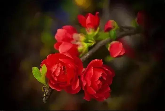 宋扬小说欣赏——生活用力过猛