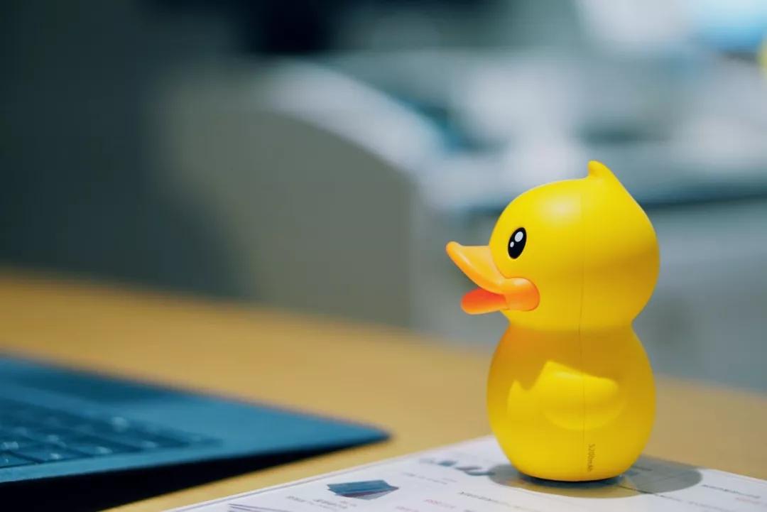 陪你洗澡的小黄鸭,一年躺赚几千万
