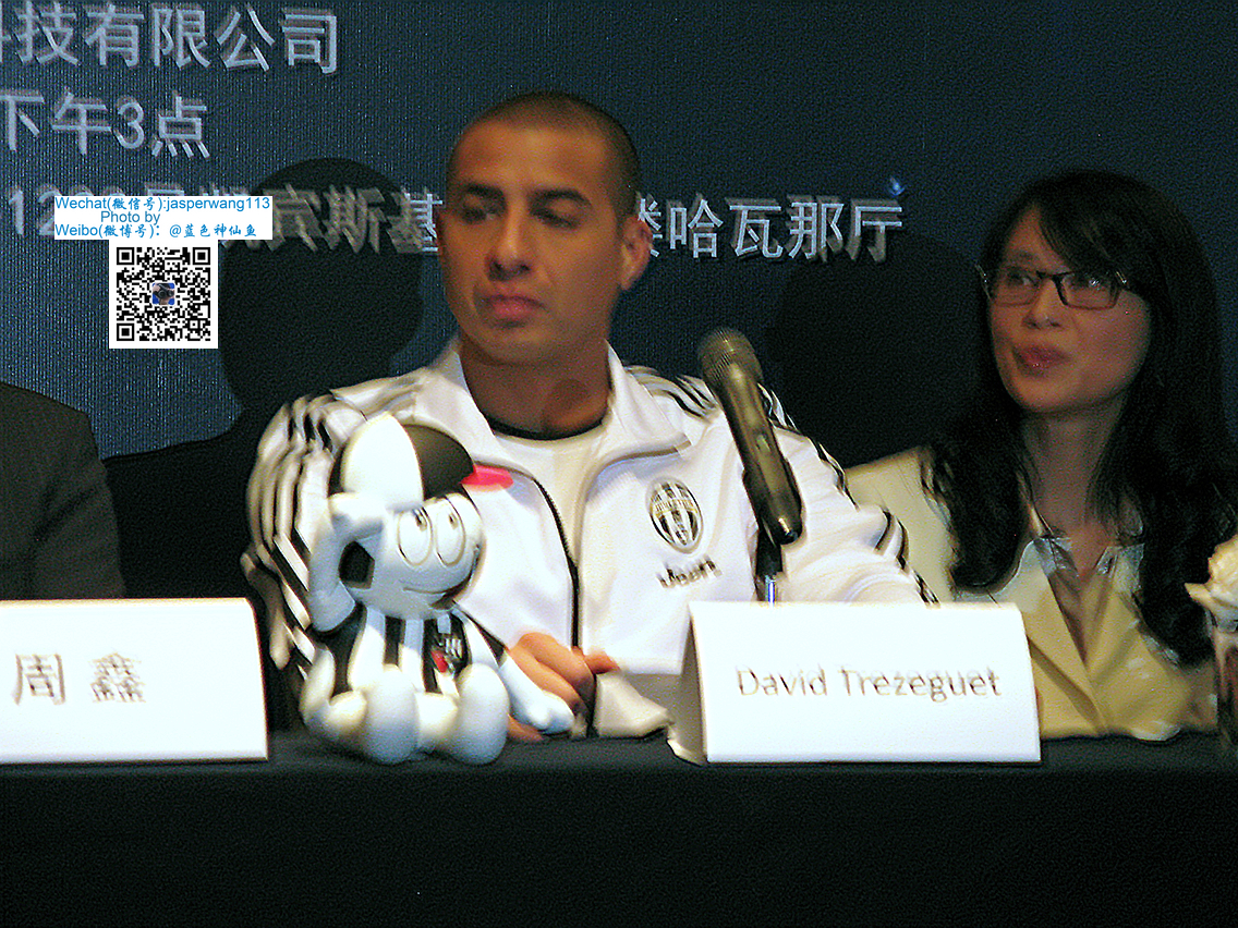 特雷泽盖fifa红蓝,特雷泽盖克雷斯波