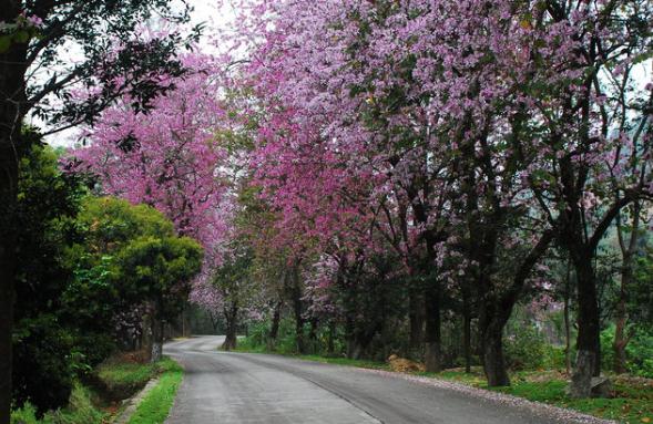 学会安静才有智慧,怎样学会保持安静