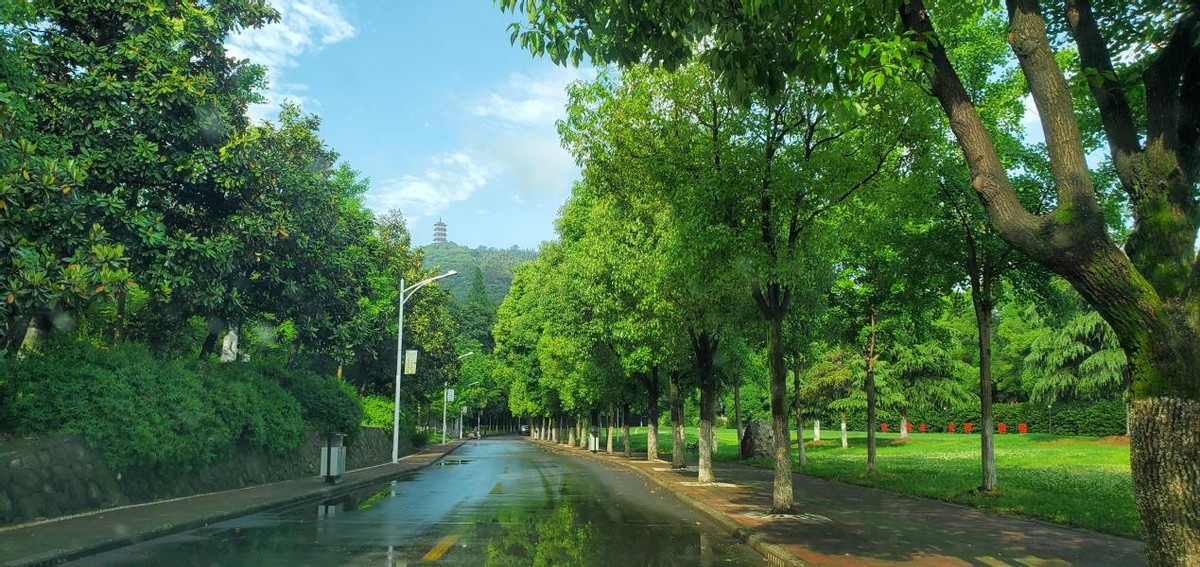 央视多次点赞武汉,央视点赞武汉直播