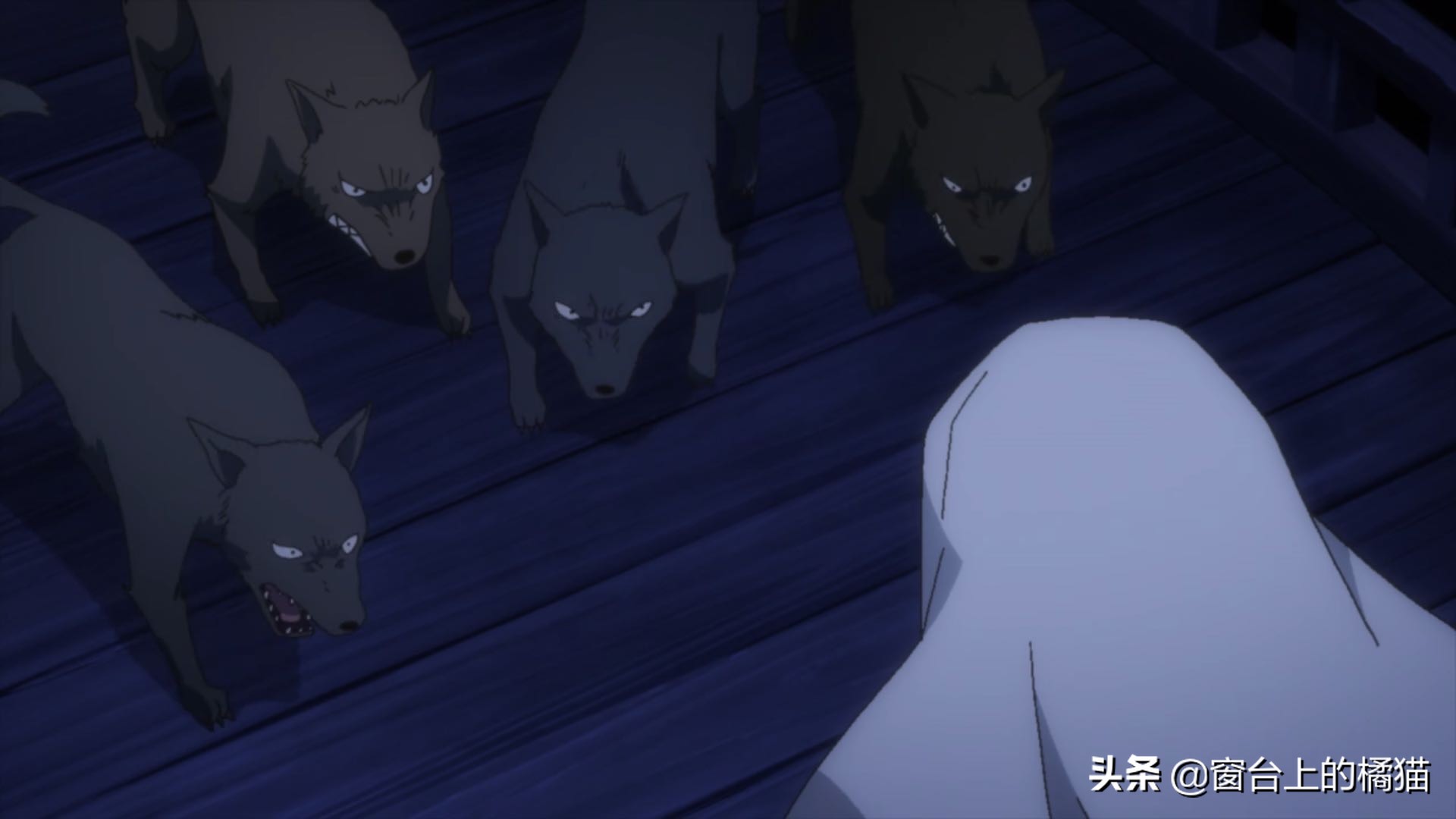 犬夜叉半妖的夜叉姬剧情介绍,犬夜叉后传大结局