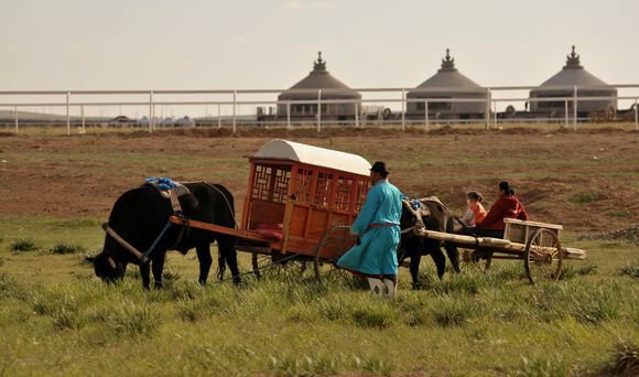 内蒙呼和浩特市内游,五一内蒙古呼和浩特及周边游