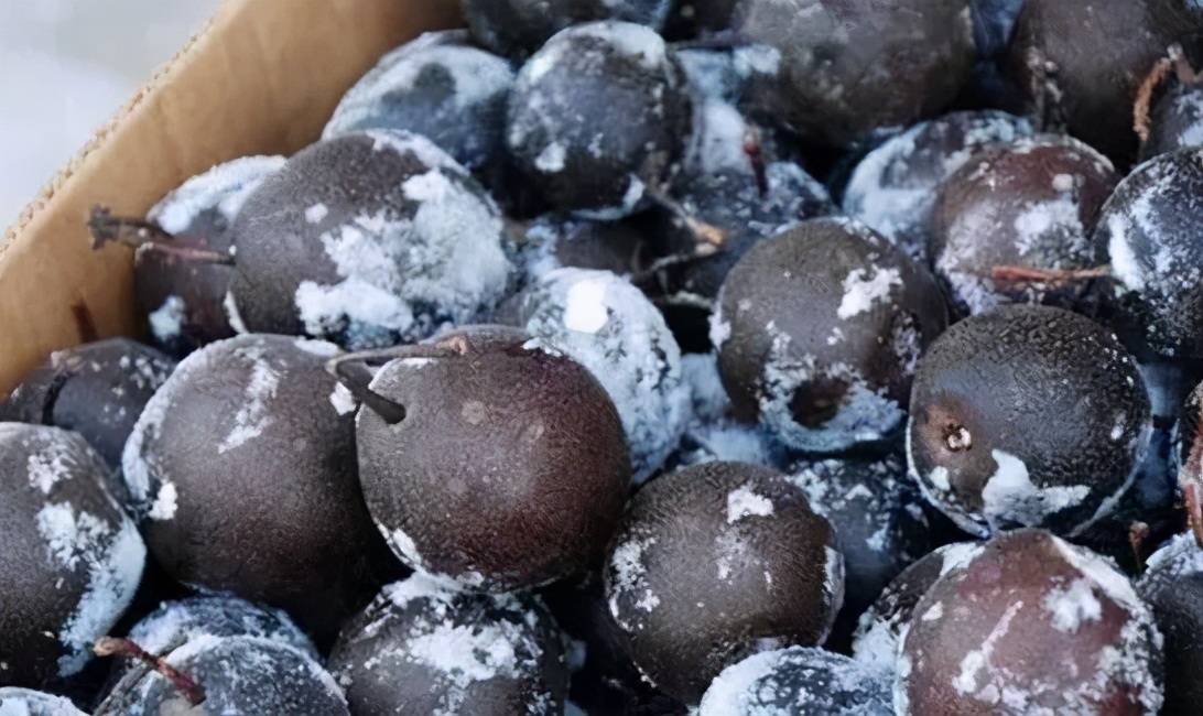 什么水果可以直接冻而且热量还低,什么水果被冰冻之后更好吃