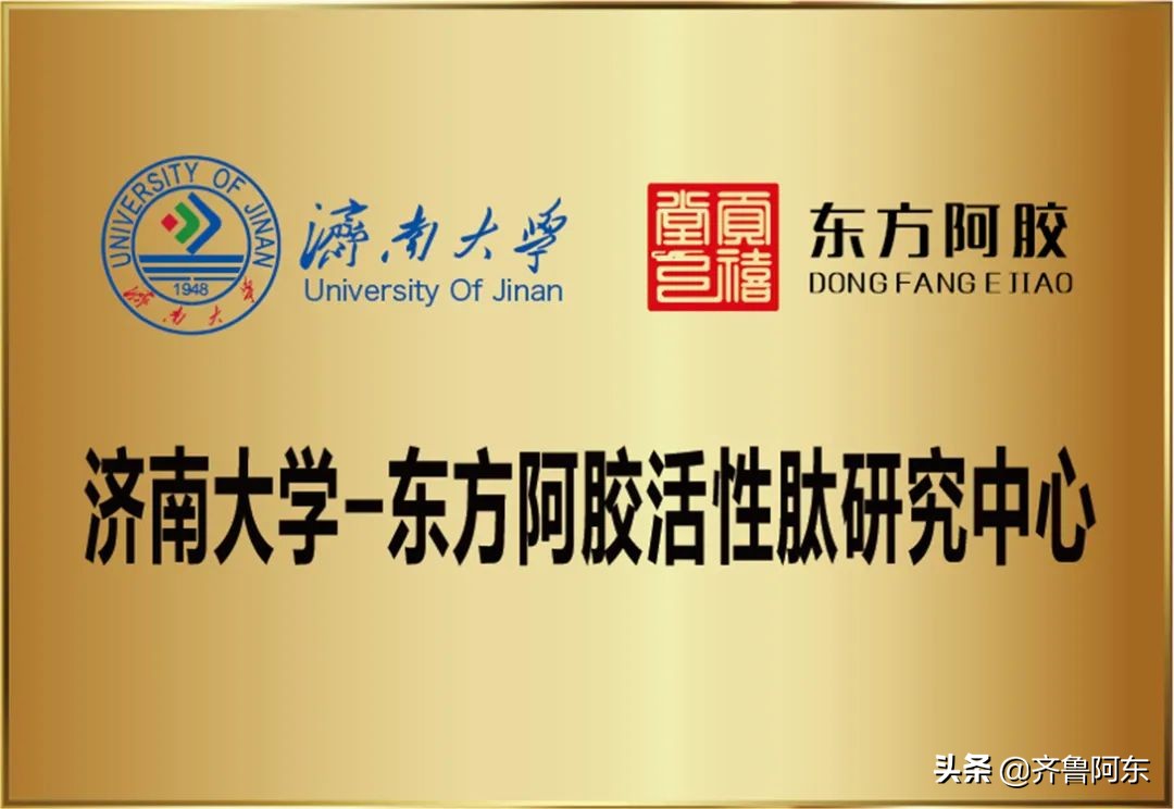 赵云峰东阿,东阿赵云峰