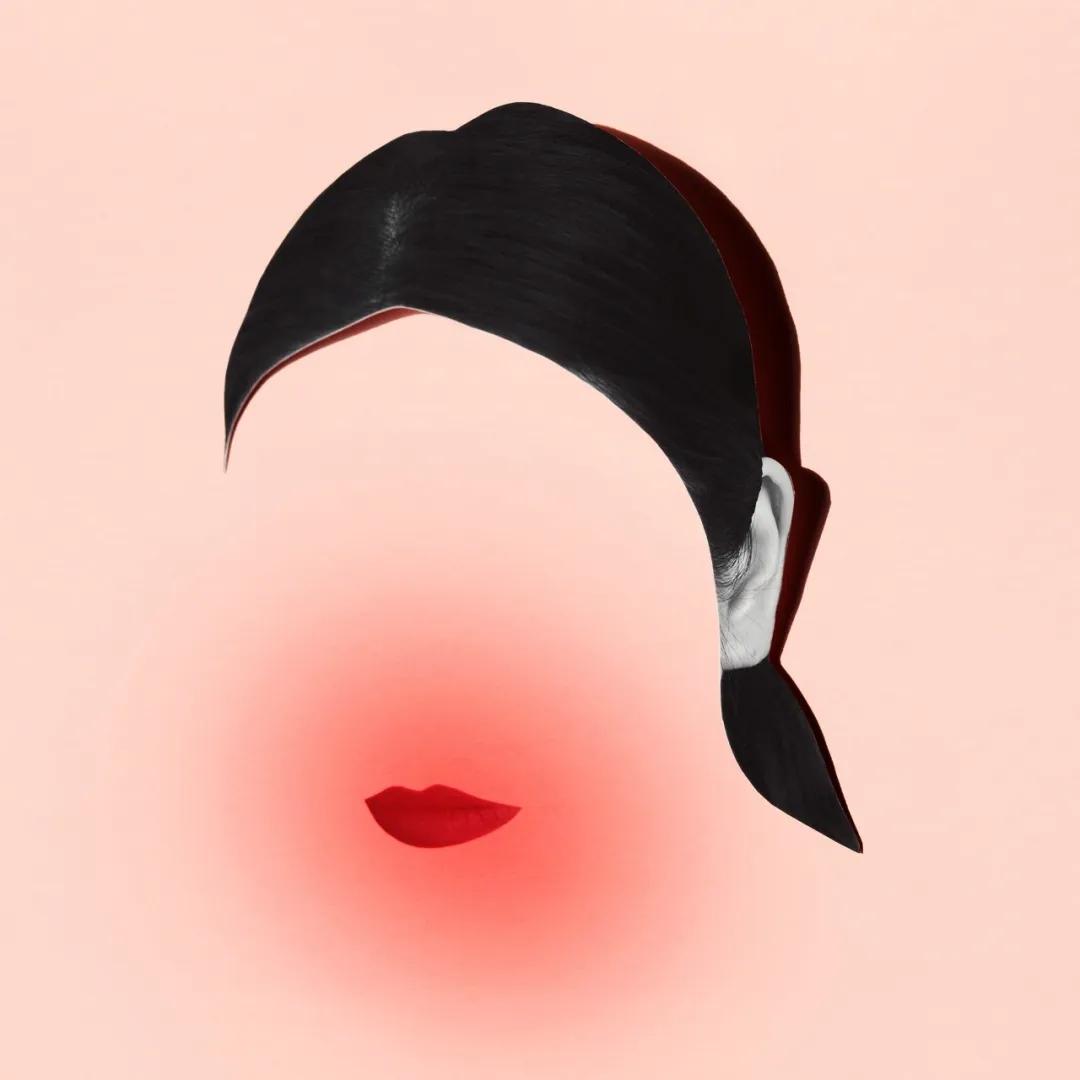 纽约时报去年的文章,纽约时报年度最佳图书