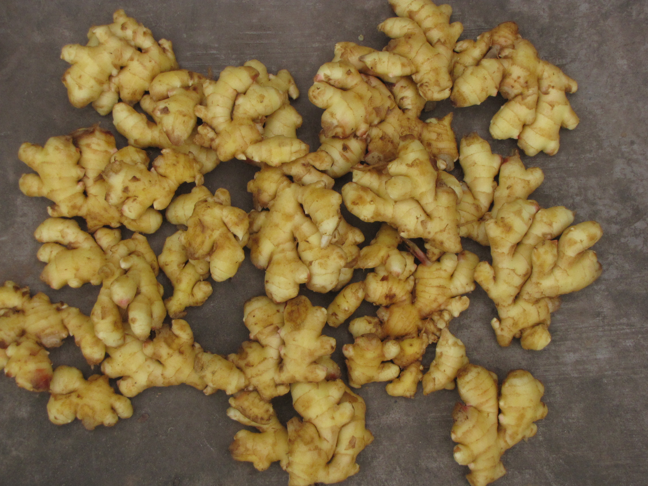 生姜生长周期达到多久适合做姜种,要种生姜的小技巧