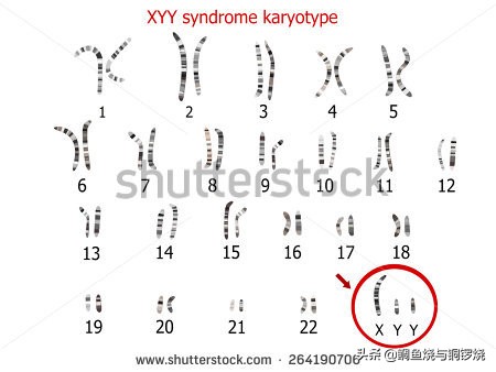 名侦探柯南安室透身份,名侦探柯南安室透个人资料