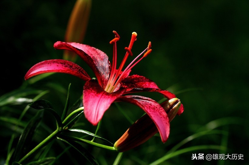 牛啊，写诗也能骂人，这十首讽刺意味的诗歌，第六首发人深省