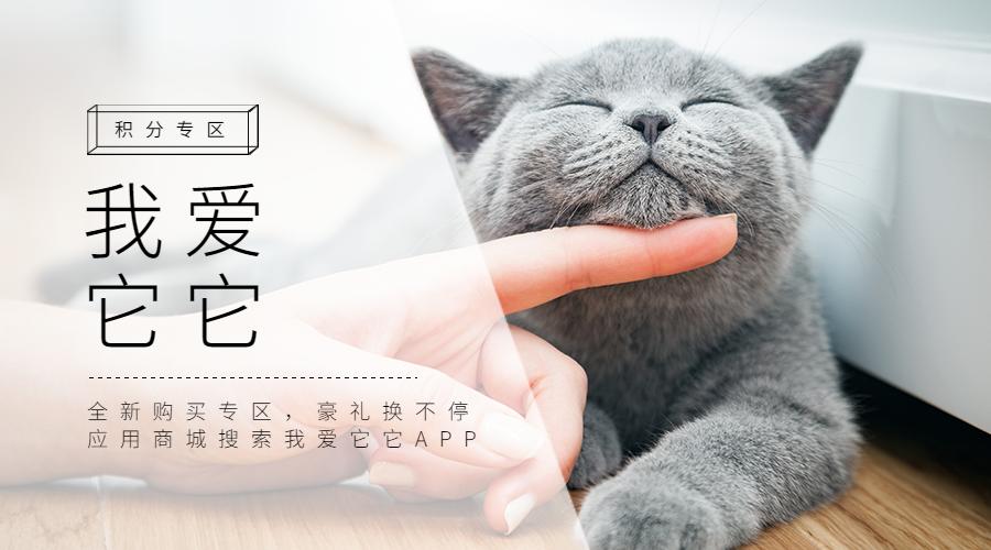 治疗犬到底是怎样的群体？我们的狗狗都能成为治疗犬吗?