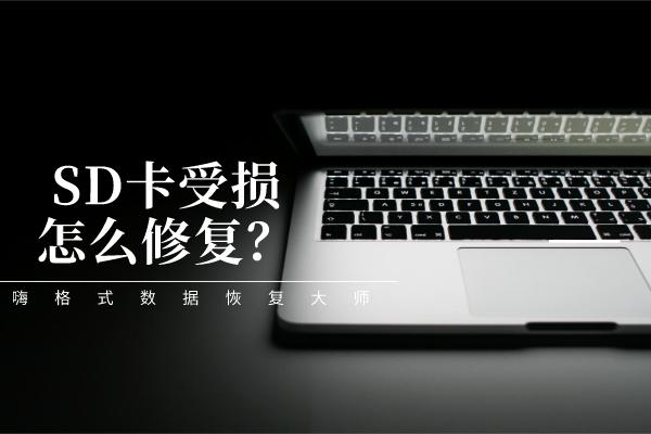 相机sd卡损坏怎么办一招帮你修复,sd卡为什么会突然受损