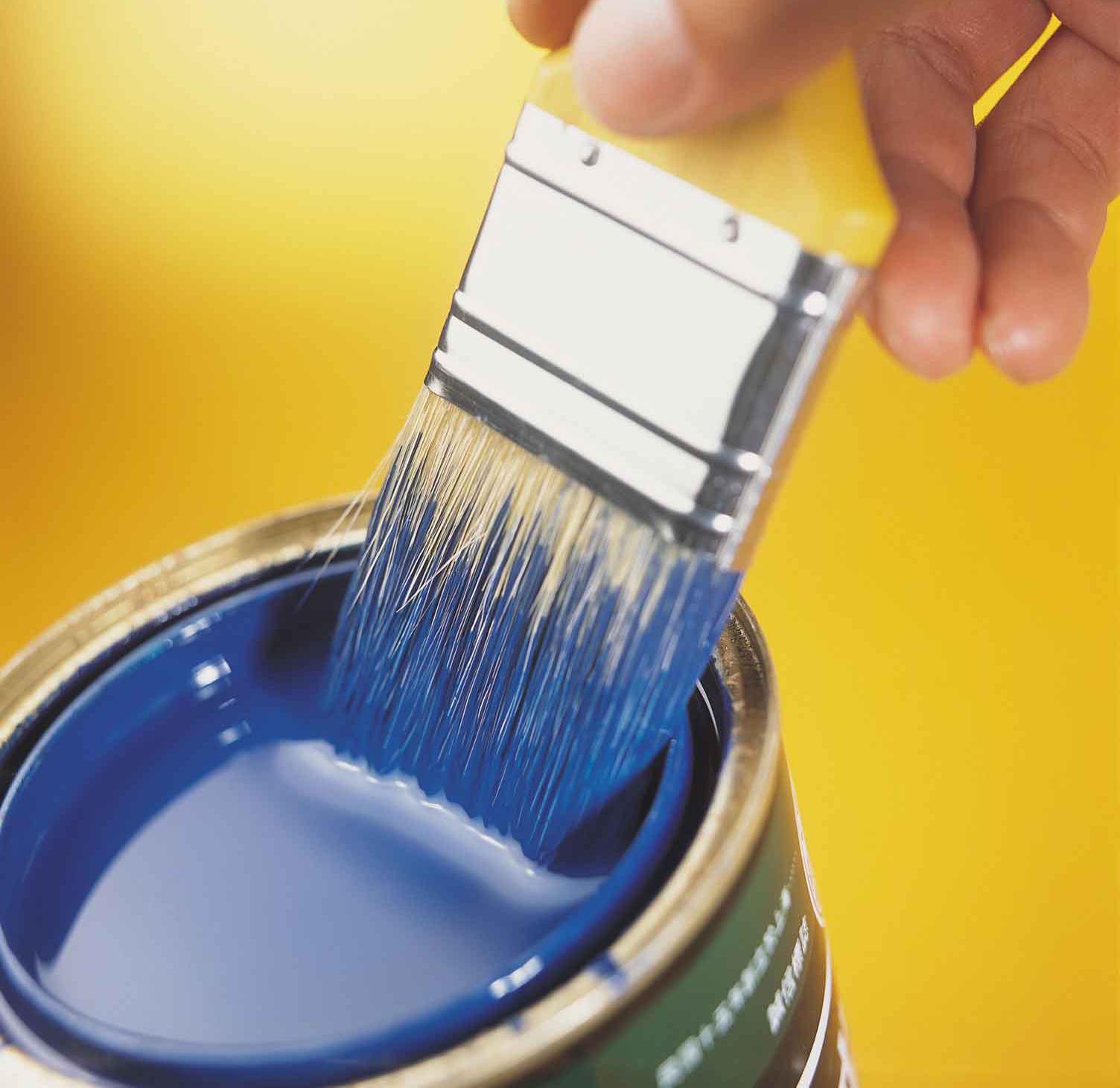 房间里很多虫子可以用樟脑丸吗,樟脑丸如何去除衣柜里的虫