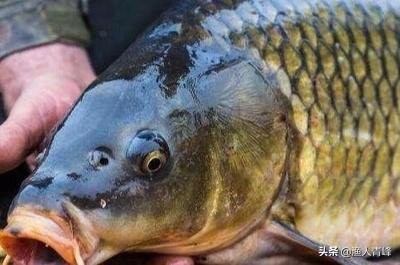 频繁空杆,怎样避免空竿