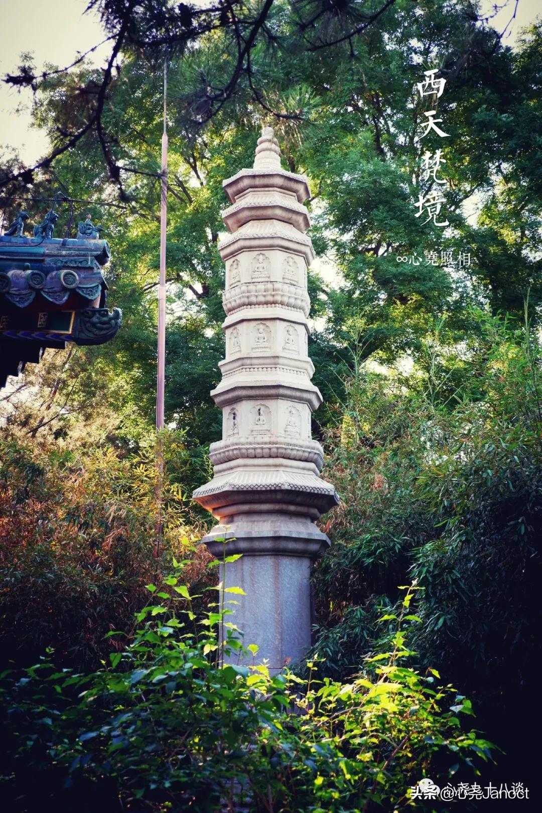 北海公园金丝楠木殿,北海公园西天梵境