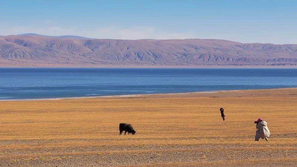 炸裂！全球唯一合法资质进入羌塘，一起去实现人生终极越野梦