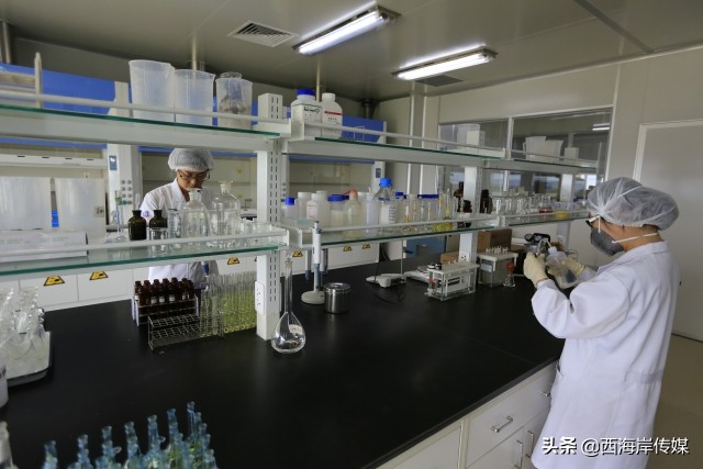 特医食品趋势,青岛圣元乳业有限公司和优博瑞慕