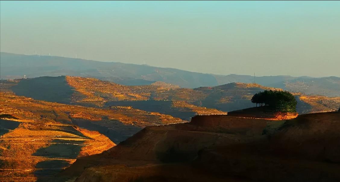 庄浪梯田的自然环境特点,庄浪的地形是什么形状