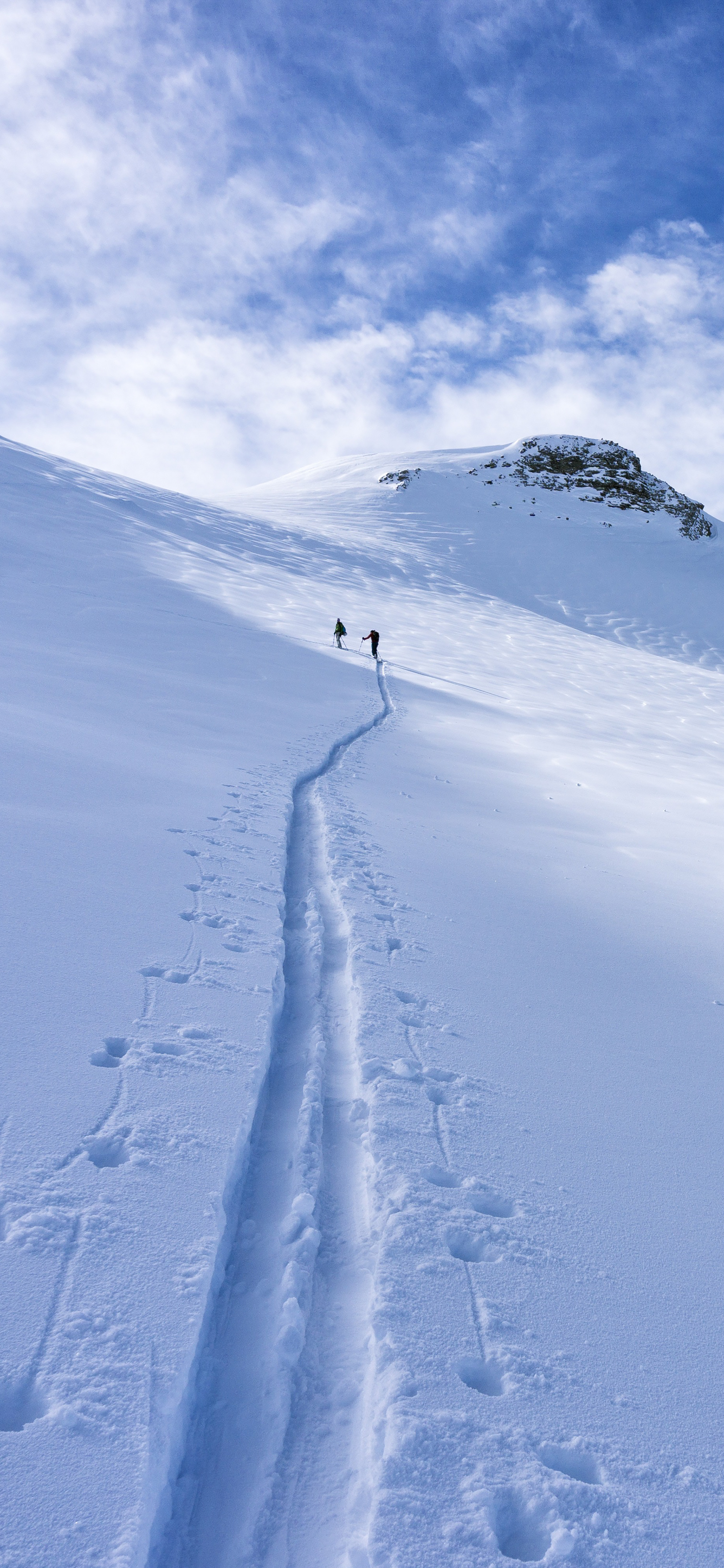 各种风格的高清壁纸,让人眼前一亮简约干净的壁纸