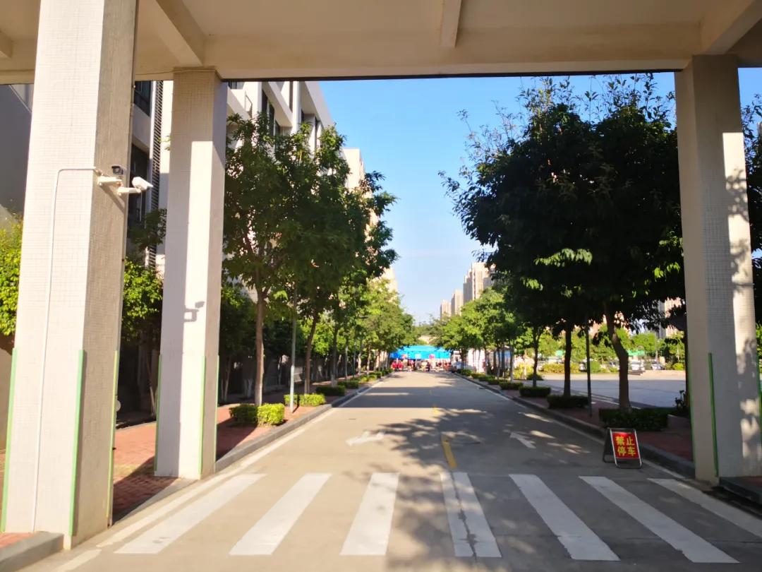 厦门翔安最好的学校,厦门翔安好的学校