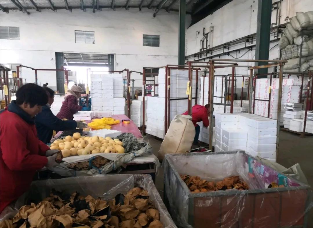 农村穷小子到一亩田榜一大哥，年入300万水果大王张福生的生意经