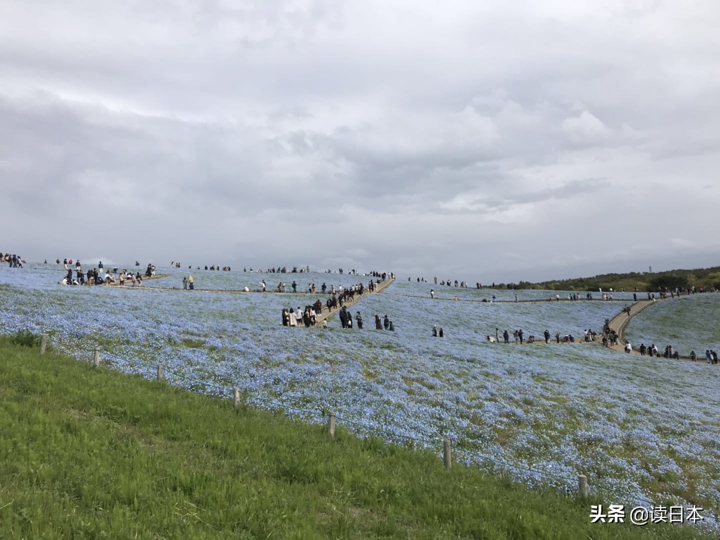 连续13年被评为最具幸福感城市,茨城城市