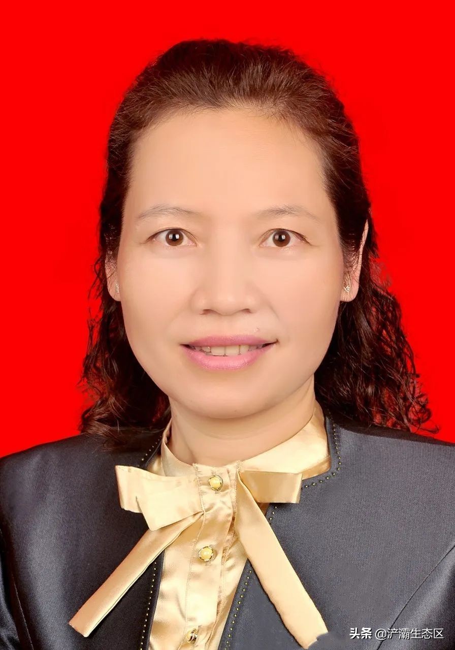 家门口的好学校（十一）：陕西师范大学绿地浐灞小学“名校+”教育联合体