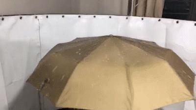 最强防风雨伞能抗住沙尘暴吗,7-8级大风威力