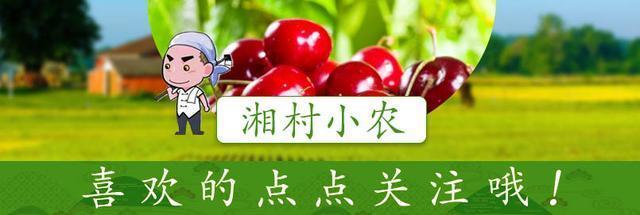 俗语财不进急门福不入偏门,什么叫福不进急门财不进偏门