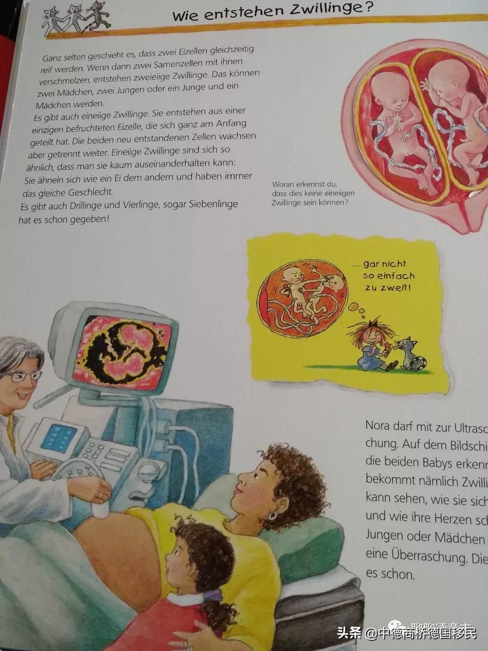 儿童性启蒙教育绘本,德国3-6岁幼儿园教育方法