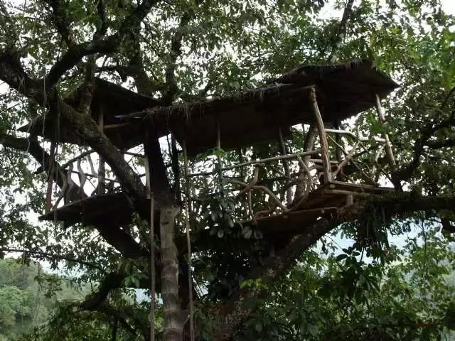 腾冲樱花谷景区,腾冲樱花谷