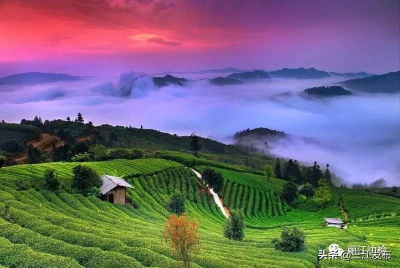 【“5.19”中国旅游日】国家移民管理局各边检总站齐发力，同为三江旅游扶贫打call!