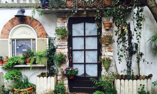 上海黄浦上海老街,上海七宝老街风景视频