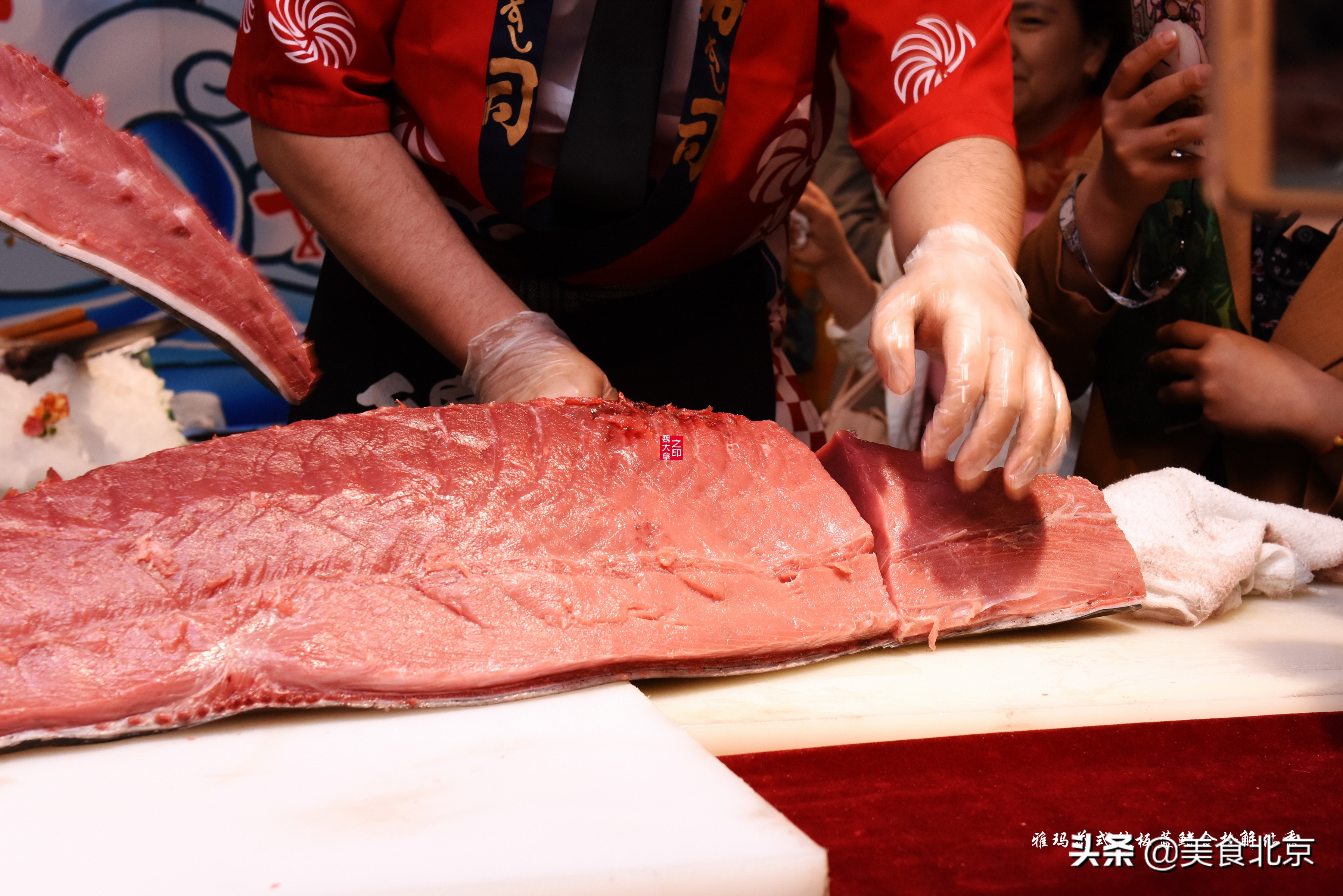 蓝鳍金枪鱼开鱼秀,深海捕蓝鳍金枪鱼