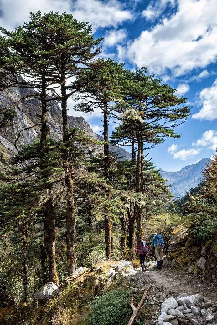 世界公认的步道 (全球最难走的步道)