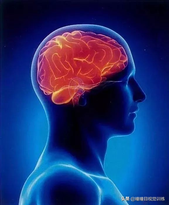 儿童弱视网络训练效果,弱视视觉训练软件