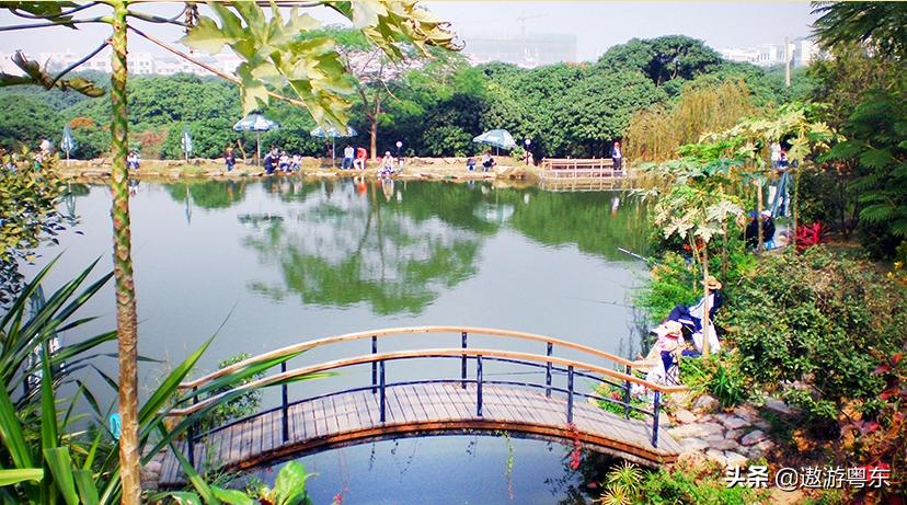 深圳南山区青青世界视频,青青世界深圳热带雨林