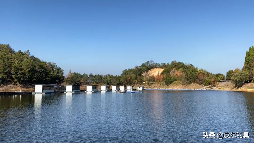 贝克力路亚大师赛总决赛视频,贝克力路亚大师赛2019排名