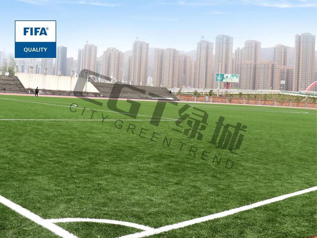 cgt缁垮煄鑻辫秴,cgt缁垮煄浣撹偛浜т笟闆嗗洟