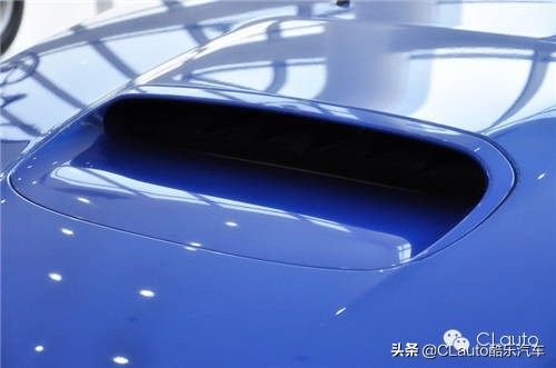 ​近乎残疾，不忍直视|流浪豹STI收养记Vol.01