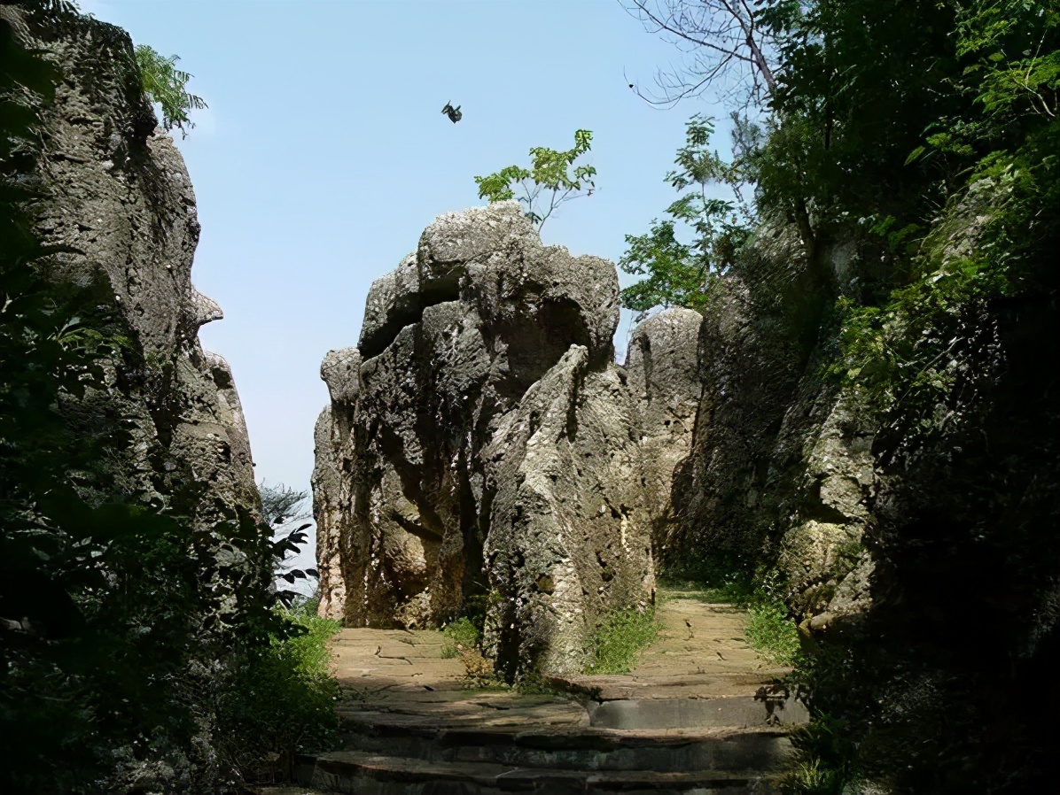 又是人间四月天踏青赏花正当时,正是人间芳菲时