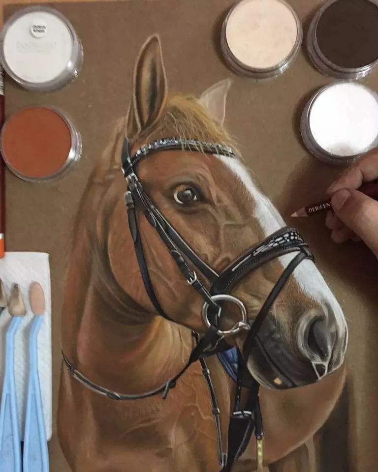 3d立体画写实彩铅,超写实彩铅手绘细腻的让人咋舌