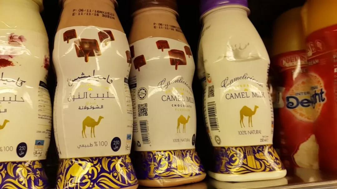 在迪拜工作需要注意什么,在迪拜一天日常生活开支