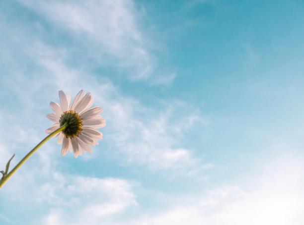 人不想改变是什么心理,疾病不能治愈它的最终目的是什么