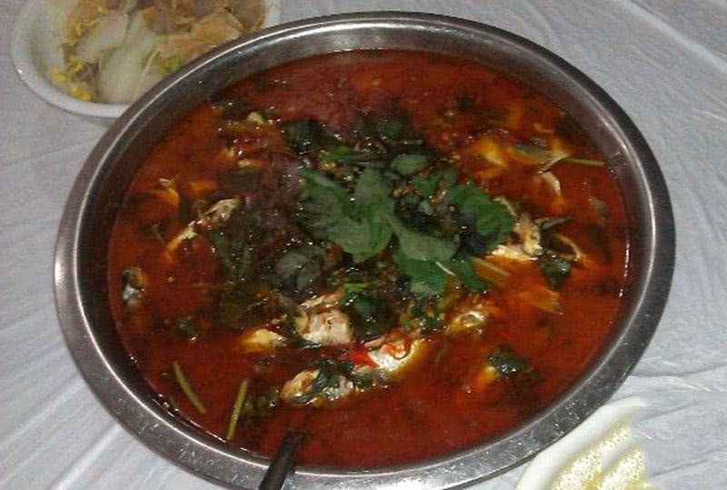 钓鱼人的困惑,这种健鲤和平常鲤鱼不一样吗?