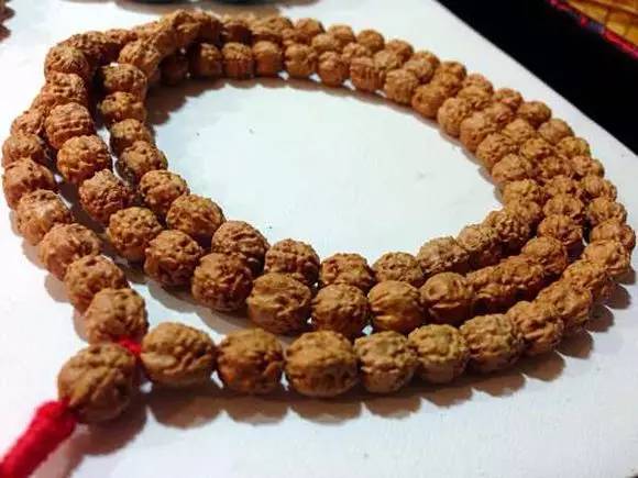 小金刚菩提鉴定视频,小金刚菩提的真假鉴别