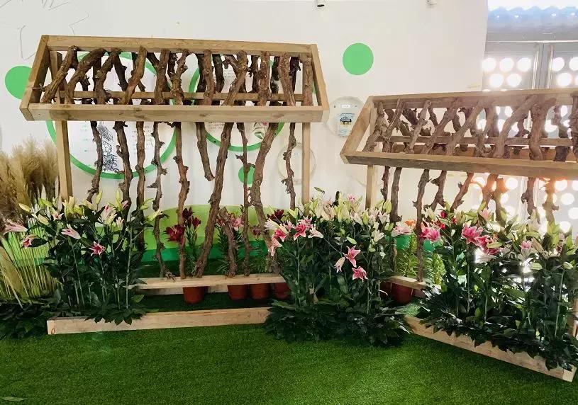 北京延庆必去的十大景点十渡,北京延庆周边五一旅游攻略自由行