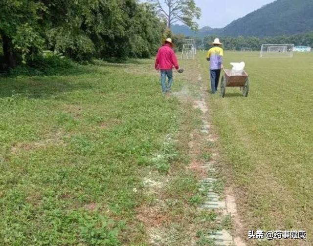 梧州基地回应蛇出没,梧州学院蛇出没