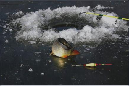 美好童年的亲子时光,最美亲子时光童趣童真