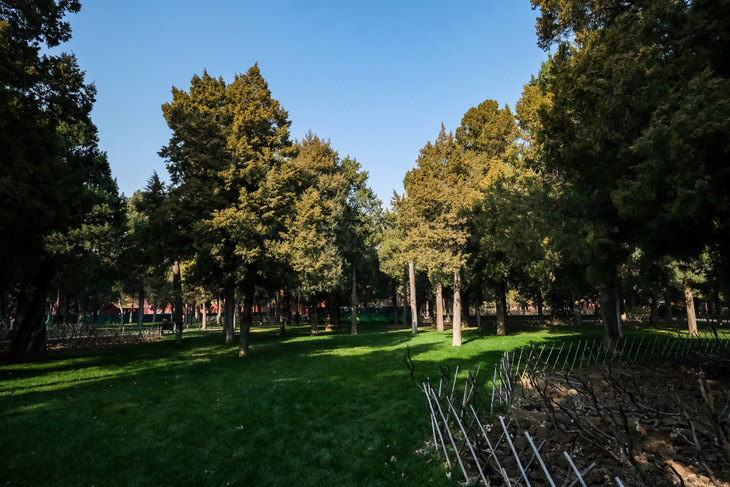 富士xt3有哪些变焦镜头推荐,富士x-t30xc35套机拍照