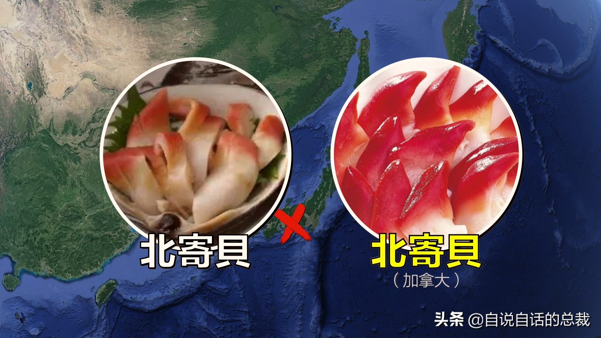 蛏子与小人蚬的区别,贻贝蛤蜊有什么区别